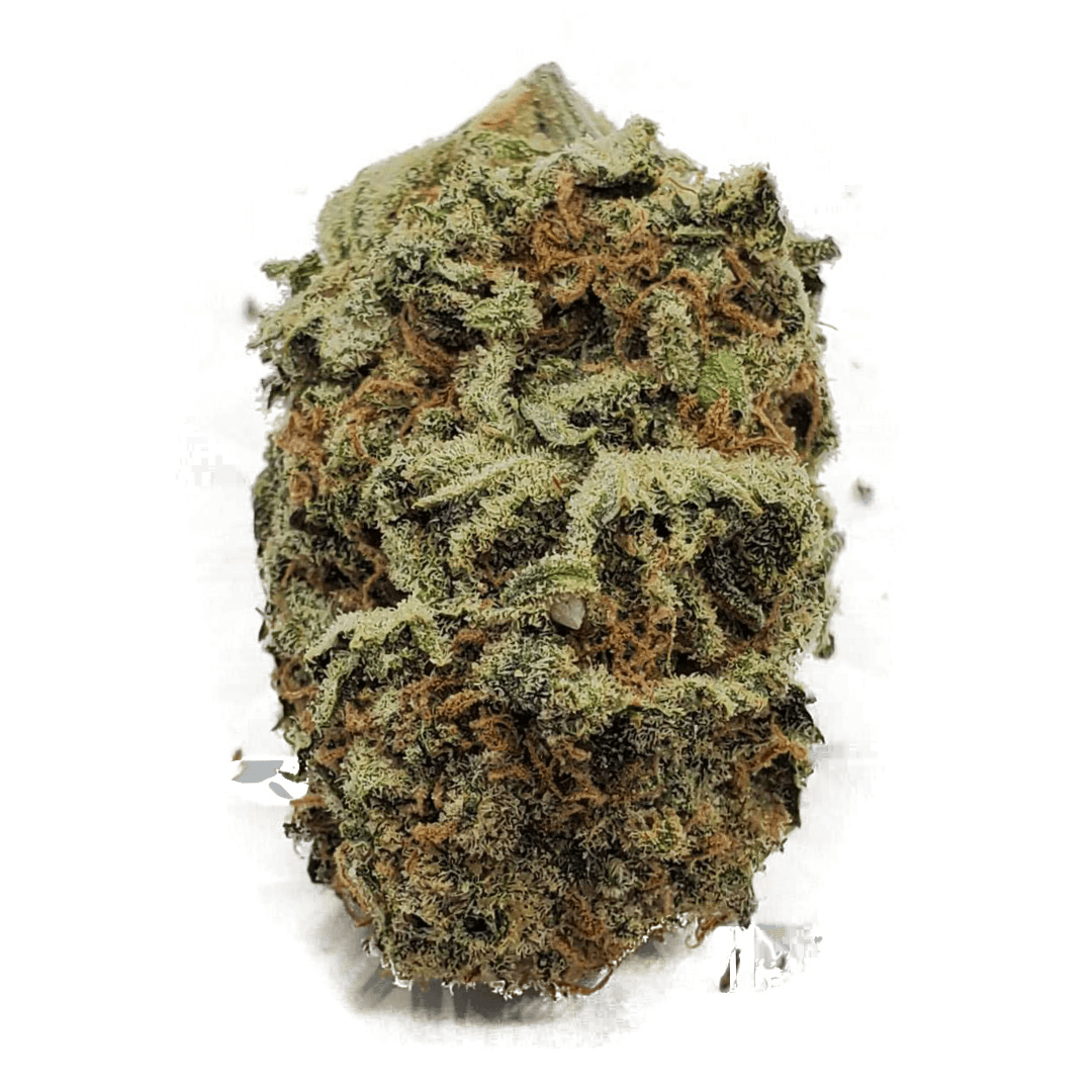 Golden Kush Bud Indica Dominant Hybrid Strain BigCreekBuds
