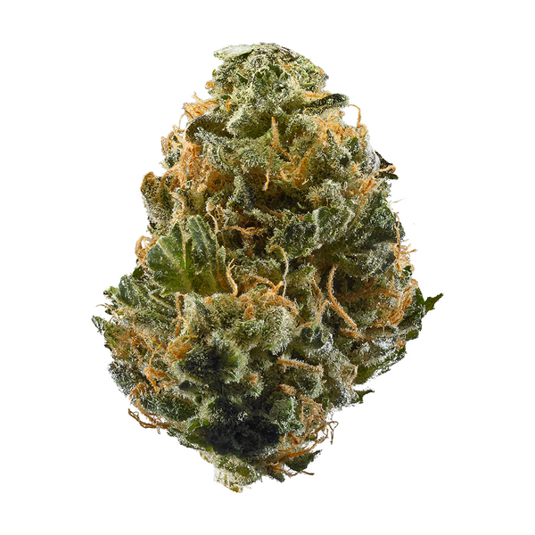 Durban Cookies - Sativa - 31% THCa
