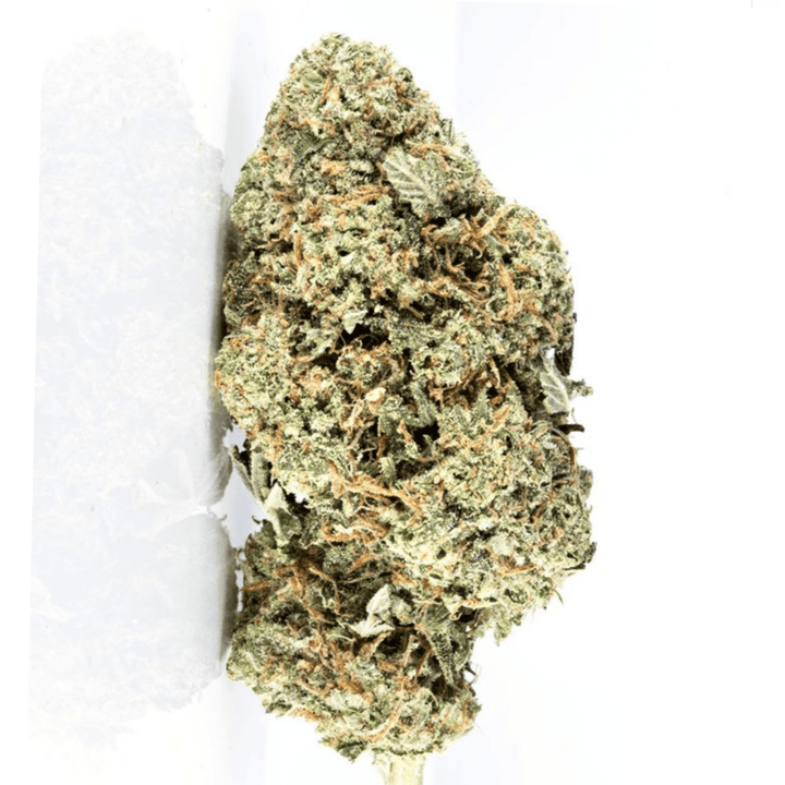 blue dream hybrid