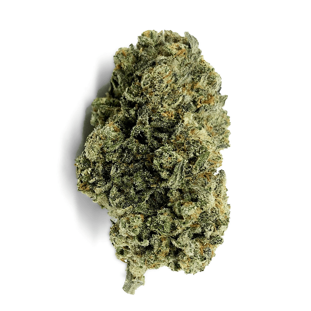 jungle cake sativa