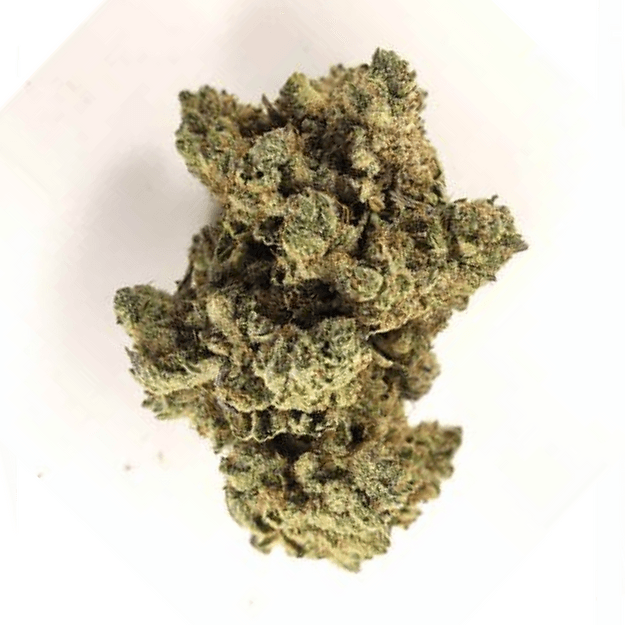 jet fuel sativa