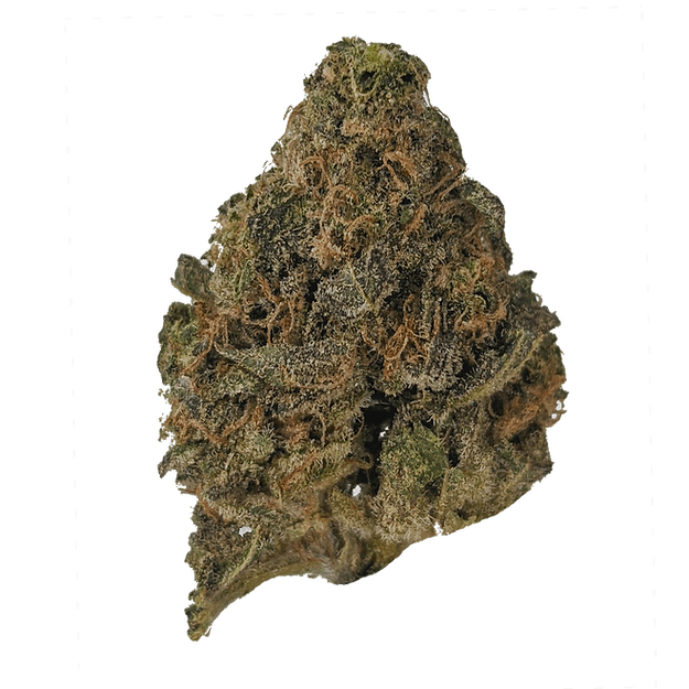 sour lemon cannabis strain